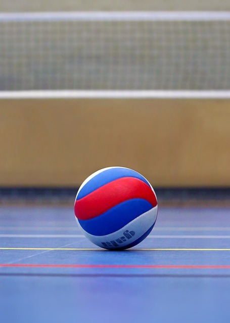 volleyball 1934355 640